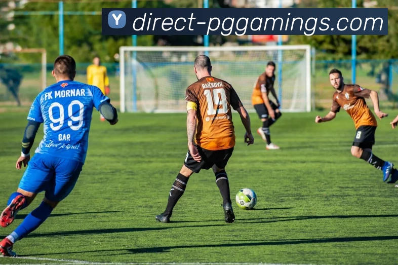 电子试玩入口平台生态图