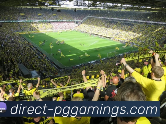 电子试玩入口APP 封面图